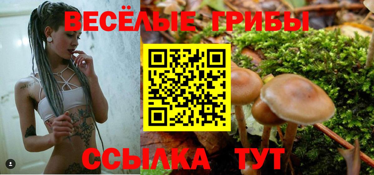 Галлюциногенные грибы мухоморы  Псилоцибиновые грибы Psilocybine cubensis  Вход с VPN  Зима 