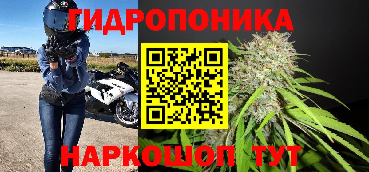 Шишки марихуана SATIVA & INDICA  Шишки марихуана Ganja  Вход с VPN  Зима  Конопля SATIVA & INDICA 